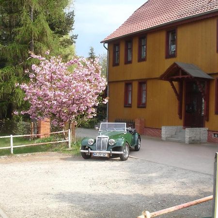 Harzer Ferienpension Timmenrode Екстериор снимка