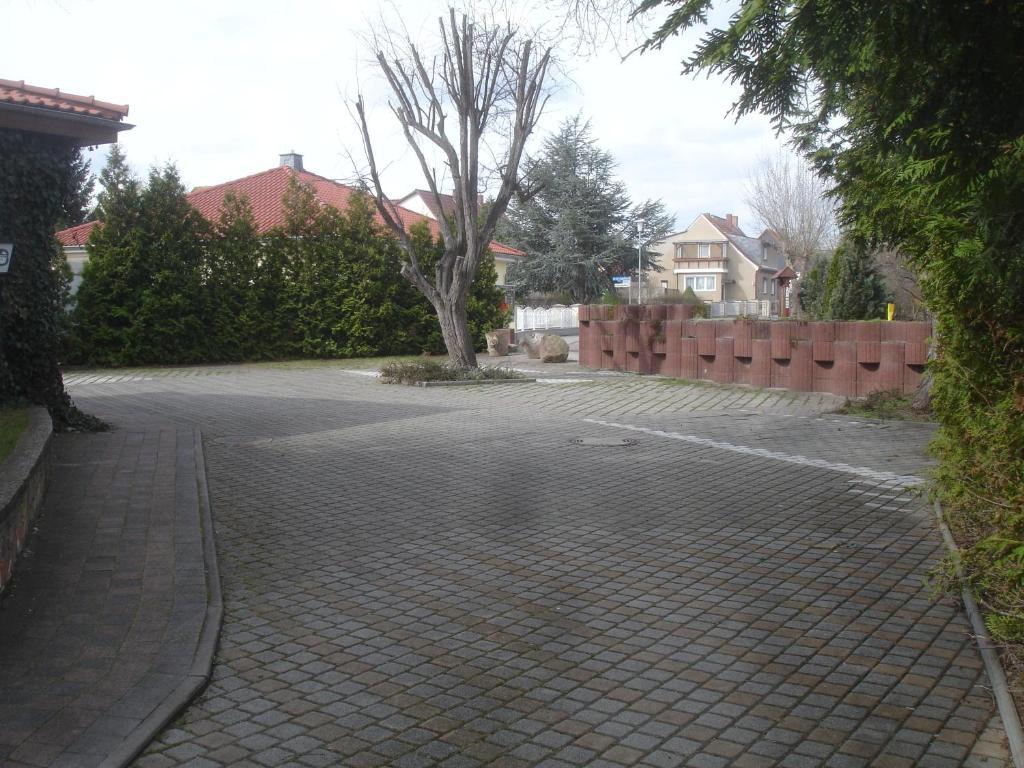 Harzer Ferienpension Timmenrode Екстериор снимка